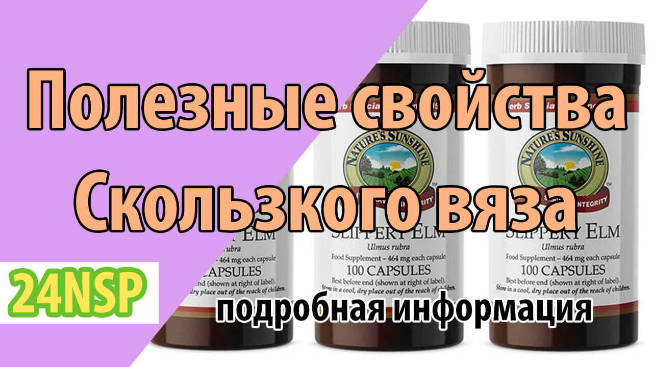 Полезные свойства скользкого вяза