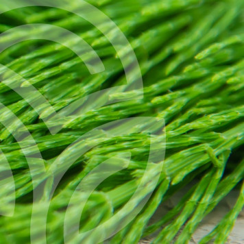 Schachtelhalm-Rosmarin-Kombination NSP