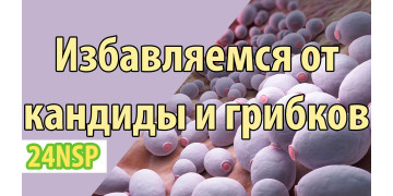 Противогрибковая программа
