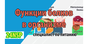 Белки в организме! Функции белков в организме. (Видео-лекция)